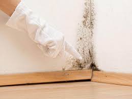 Best Environmental Consulting for Mold Prevention  in Tahlequah, OK